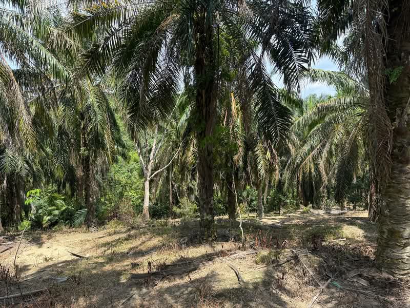 Tanah Pertanian untuk Dijual di Sungai Siput (Perak) - Qazin Khoo - Exterior - PropertyGuru.com.my