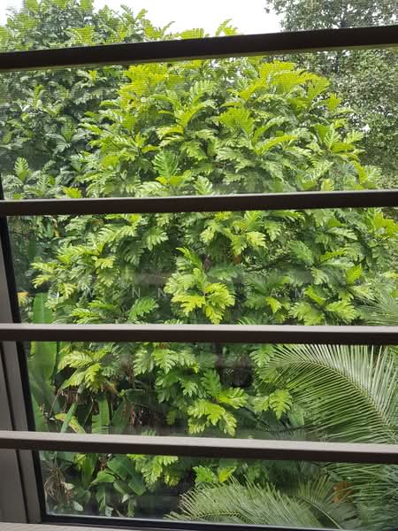 Vila Berkembar untuk Disewa di Petaling Jaya (Selangor) - Winnie Fam - Exterior - PropertyGuru.com.my