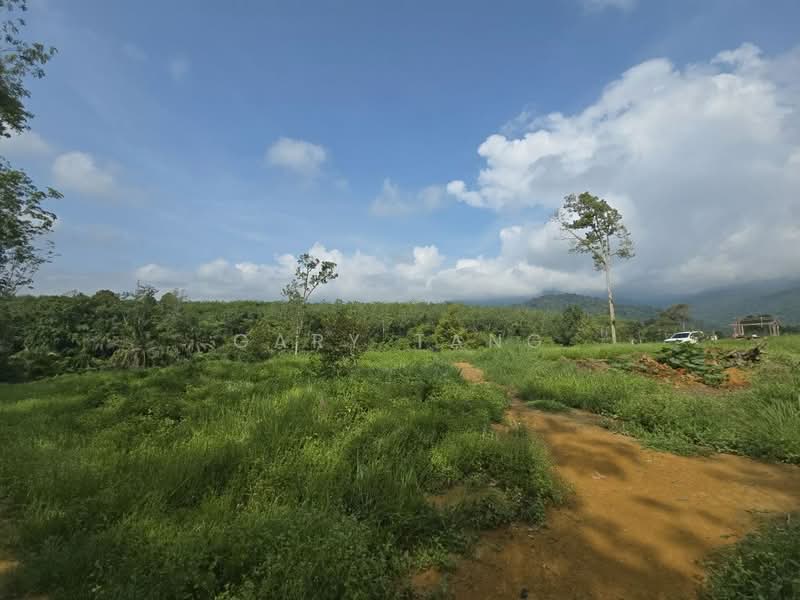 Agricultural Land for Sale in Kampung Baru Liman Kati (Kuala Kangsar) - Gary Tang - Exterior - PropertyGuru.com.my