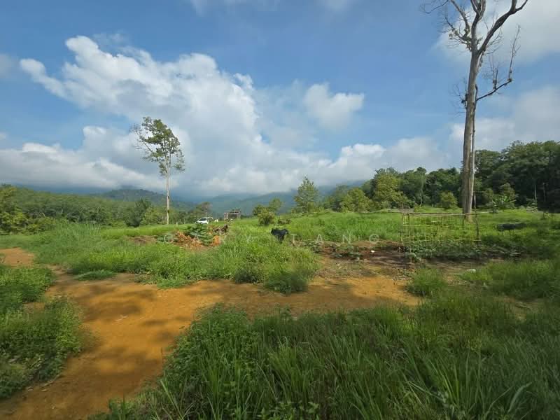 Agricultural Land for Sale in Kampung Baru Liman Kati (Kuala Kangsar) - Gary Tang - Exterior - PropertyGuru.com.my