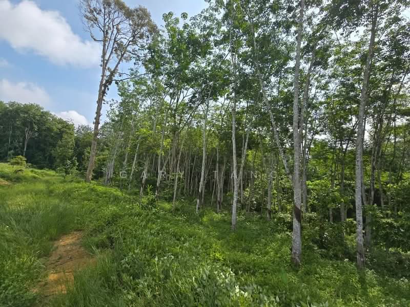 Agricultural Land for Sale in Kampung Baru Liman Kati (Kuala Kangsar) - Gary Tang - Exterior - PropertyGuru.com.my