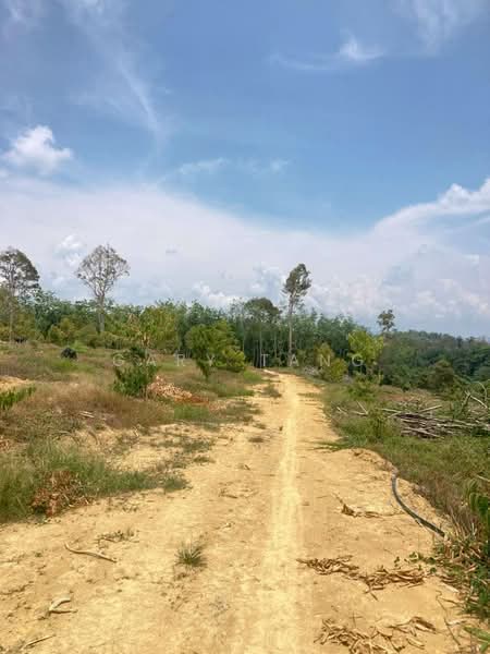 Agricultural Land for Sale in Kampung Baru Liman Kati (Kuala Kangsar) - Gary Tang - Exterior - PropertyGuru.com.my