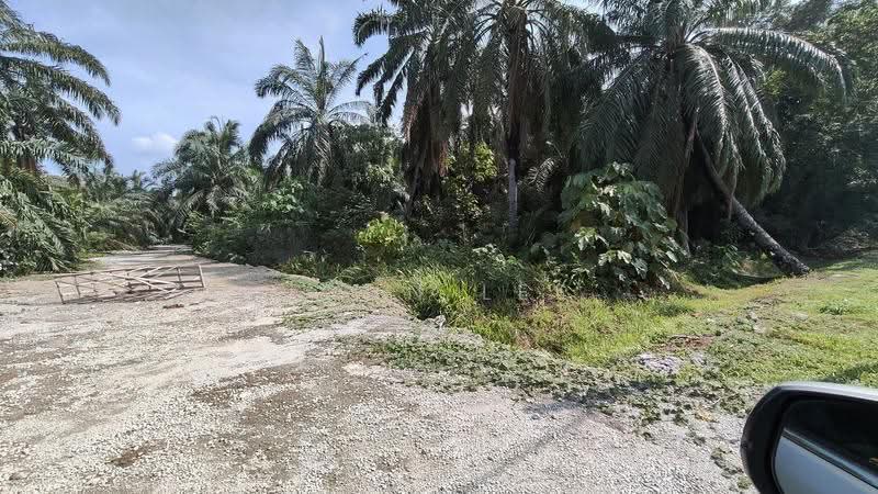 Tanah Pertanian untuk Dijual di Kampung Teluk Mengkuang (Telok Panglima Garang) - John Lee - PropertyGuru.com.my