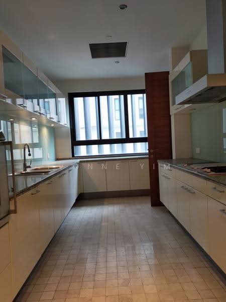 Condominium for Sale at The Binjai on the Park - Ivonne Yim - Kitchen - PropertyGuru.com.my