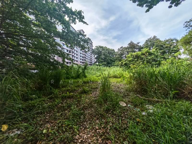 Agricultural Land for Sale in Klebang (Melaka) - Ramona Tan - Exterior - PropertyGuru.com.my