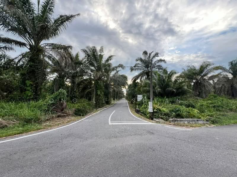 Tanah Pertanian untuk Dijual di Kayu Ara Pasong (Ayer Baloi) - Ong Lih Shyan - Exterior - PropertyGuru.com.my