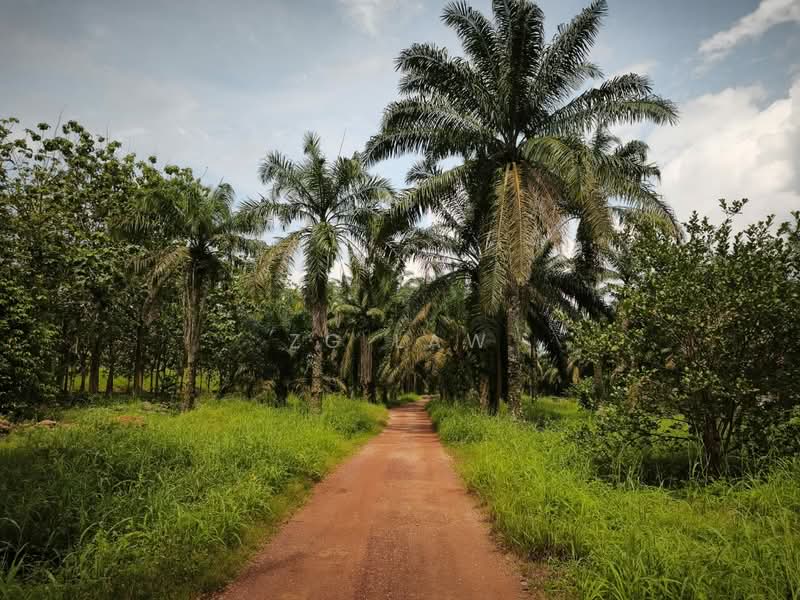 Agricultural Land for Sale in Batu Pahat (Johor) - ZG Law - PropertyGuru.com.my