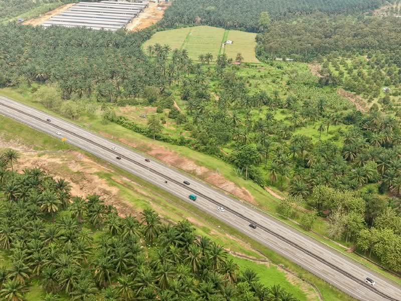 Agricultural Land for Sale in Batu Pahat (Johor) - ZG Law - PropertyGuru.com.my