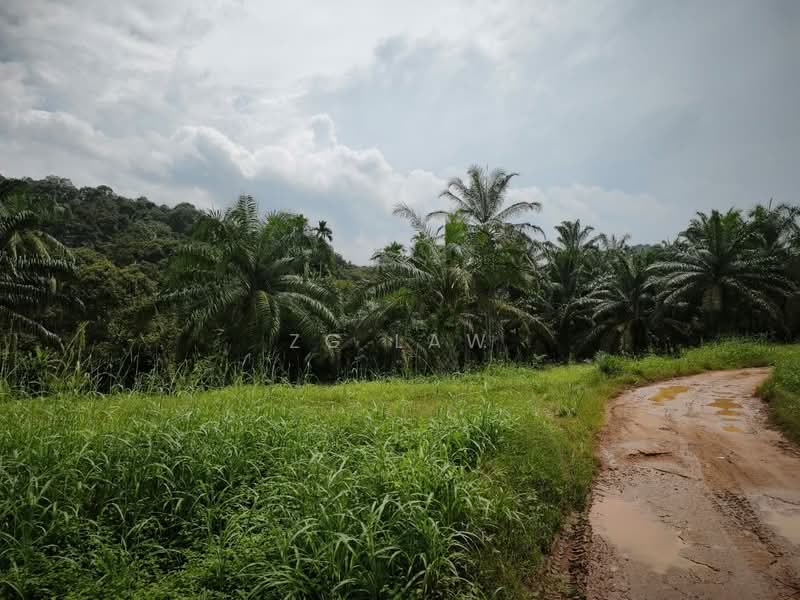 Agricultural Land for Sale in Batu Pahat (Johor) - ZG Law - PropertyGuru.com.my