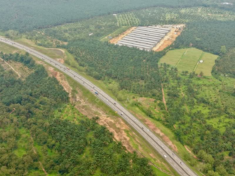 Agricultural Land for Sale in Batu Pahat (Johor) - ZG Law - PropertyGuru.com.my