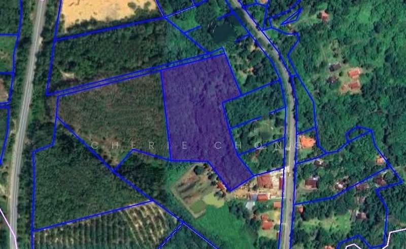 Agricultural Land for Sale in Kuala Kangsar (Perak) - Cherie Chong - PropertyGuru.com.my