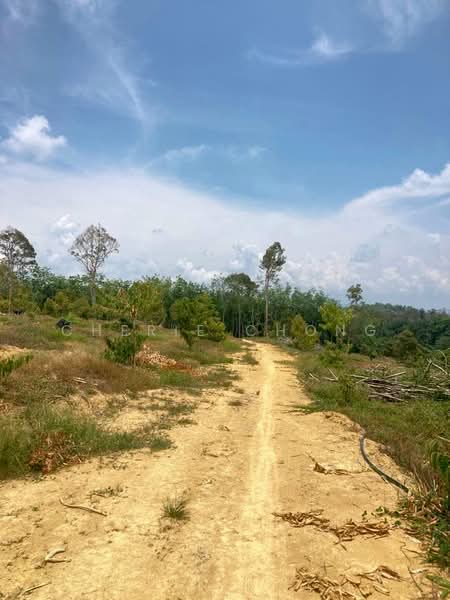 Agricultural Land for Sale in Kuala Kangsar (Perak) - Cherie Chong - PropertyGuru.com.my