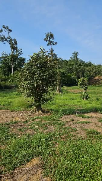 Agricultural Land for Sale in Bentong (Pahang) - Selvam . - Exterior - PropertyGuru.com.my