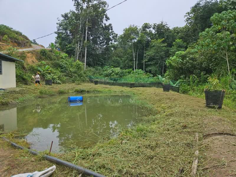 Agricultural Land for Sale in Bentong (Pahang) - Selvam . - Exterior - PropertyGuru.com.my