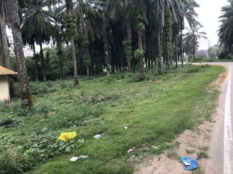 Tanah Pertanian untuk Dijual di Rawang (Selangor) - Cleo Chua - Exterior - PropertyGuru.com.my