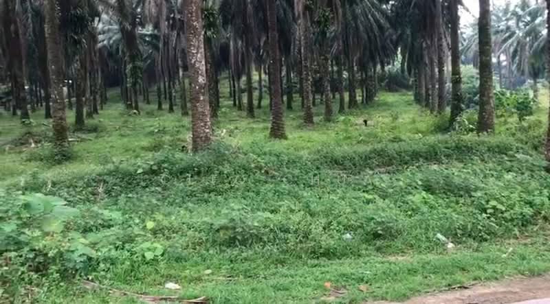 Tanah Pertanian untuk Dijual di Rawang (Selangor) - Cleo Chua - Garden - PropertyGuru.com.my