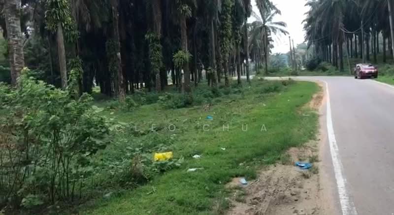 Tanah Pertanian untuk Dijual di Rawang (Selangor) - Cleo Chua - Exterior - PropertyGuru.com.my