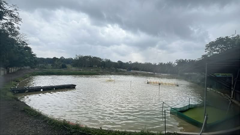 Tanah Pertanian untuk Dijual di Sri Plentong (Plentong) - Shi Ting - PropertyGuru.com.my