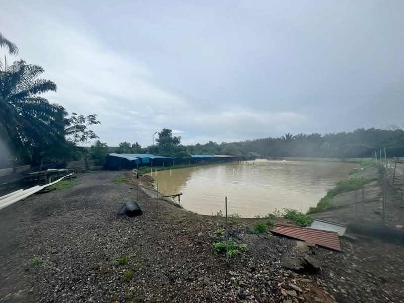 Tanah Pertanian untuk Dijual di Sri Plentong (Plentong) - Shi Ting - PropertyGuru.com.my