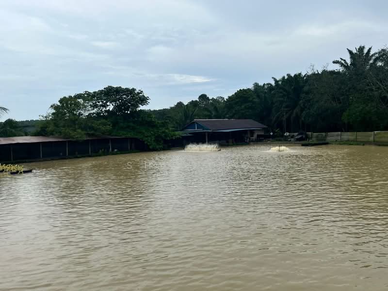 Tanah Pertanian untuk Dijual di Sri Plentong (Plentong) - Shi Ting - PropertyGuru.com.my