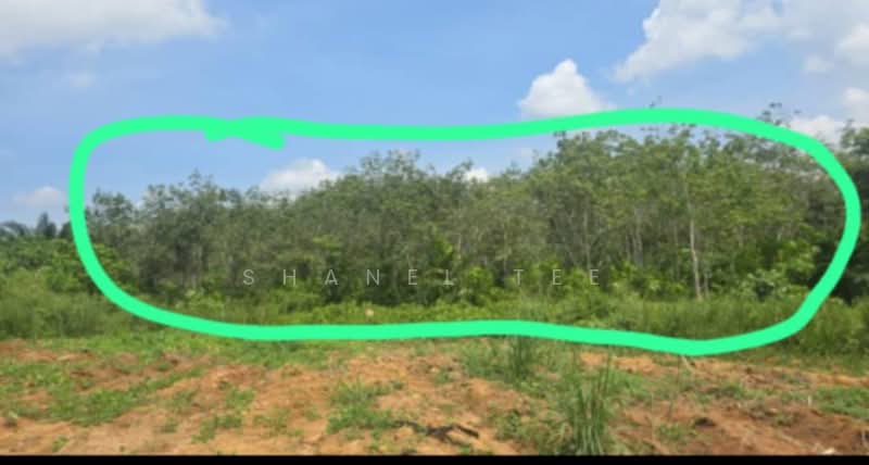 Agricultural Land for Sale in Segamat (Johor) - Shanel Tee - Exterior - PropertyGuru.com.my