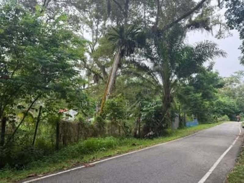 Tanah Pertanian untuk Dijual di Kampung Ulu Tiram (Ulu Tiram) - Ms Tham - PropertyGuru.com.my