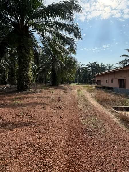 Agricultural Land for Sale in Port Dickson (Negeri Sembilan) - Effendy Shohaili - Exterior - PropertyGuru.com.my
