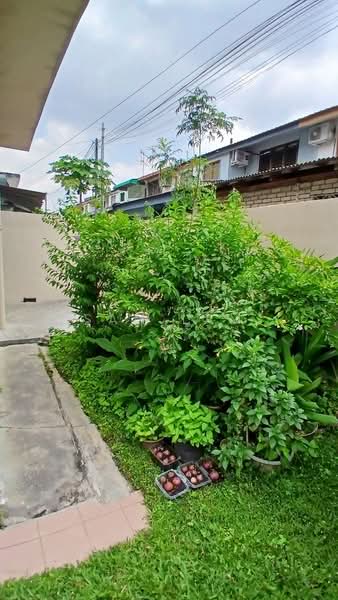 Rumah Teres 2 Tingkat untuk Dijual di Taman Cempaka (Ipoh) - Sam Lam - Exterior - PropertyGuru.com.my