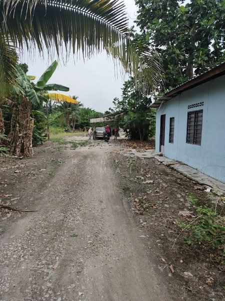 Agricultural Land for Sale in Kampung Tanjung Layang (Tanjong Sepat) - Shahidan Ismail - Exterior - PropertyGuru.com.my
