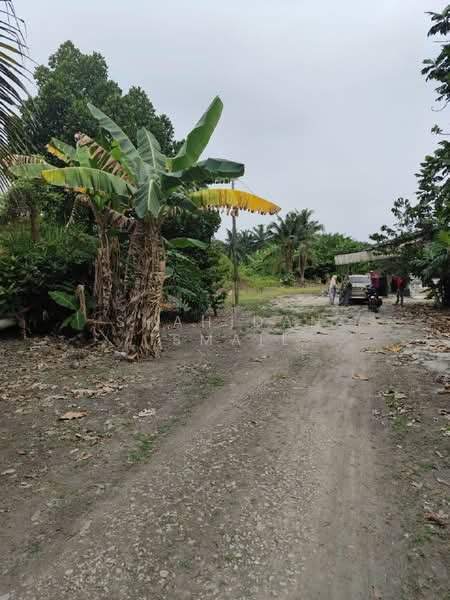 Agricultural Land for Sale in Kampung Tanjung Layang (Tanjong Sepat) - Shahidan Ismail - Exterior - PropertyGuru.com.my