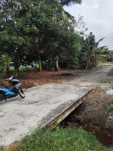 Agricultural Land for Sale in Kampung Tanjung Layang (Tanjong Sepat) - Shahidan Ismail - Exterior - PropertyGuru.com.my
