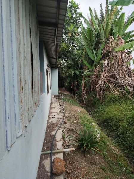 Agricultural Land for Sale in Kampung Tanjung Layang (Tanjong Sepat) - Shahidan Ismail - Exterior - PropertyGuru.com.my