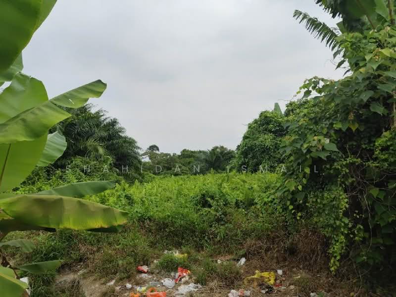 Agricultural Land for Sale in Kampung Tanjung Layang (Tanjong Sepat) - Shahidan Ismail - Exterior - PropertyGuru.com.my