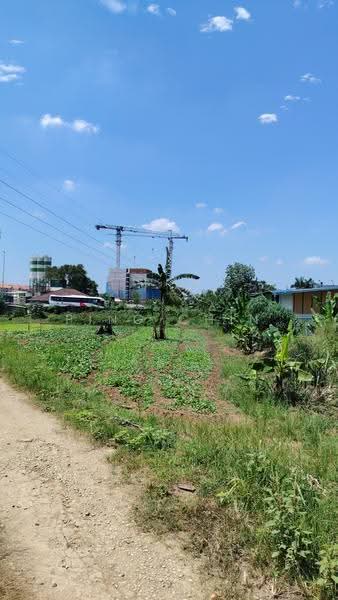 Agricultural Land for Sale in Puchong (Puchong) - Ping Chin - Exterior - PropertyGuru.com.my