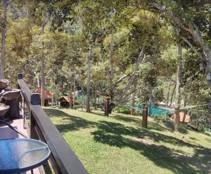 Agricultural Land for Sale in Balik Pulau (Penang) - Pei Hoon - Garden - PropertyGuru.com.my