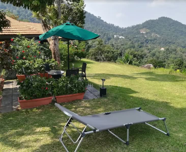 Agricultural Land for Sale in Balik Pulau (Penang) - Pei Hoon - Garden - PropertyGuru.com.my