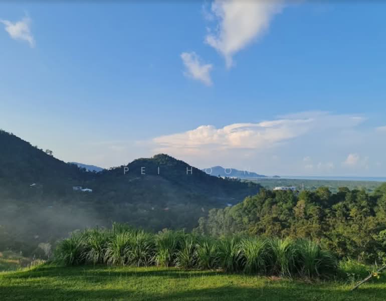 Agricultural Land for Sale in Balik Pulau (Penang) - Pei Hoon - View - PropertyGuru.com.my