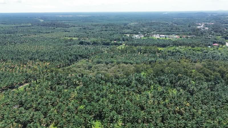 Residential Land for Sale in Senibong Cove (Masai) - Joan Chia - Exterior - PropertyGuru.com.my
