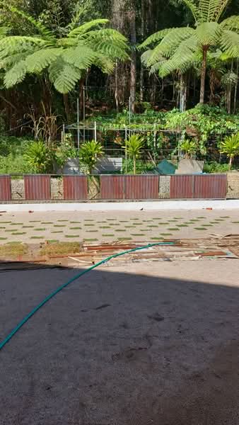 Bungalow for Sale in Cameron Highlands (Pahang) - Ching Wooi Chen - PropertyGuru.com.my