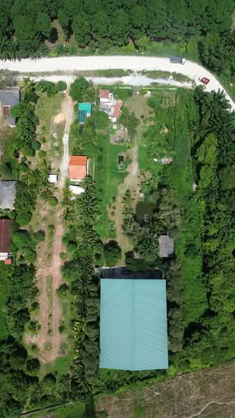 Tanah Pertanian untuk Dijual di Kampung Selangor Dredging (Dengkil) - Kok Yee Loh - Exterior - PropertyGuru.com.my