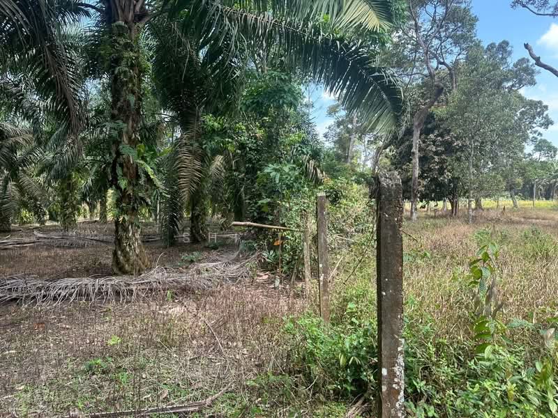 Tanah Pertanian untuk Dijual di Taman Bintang Utama (Senai) - Shi Ting - PropertyGuru.com.my