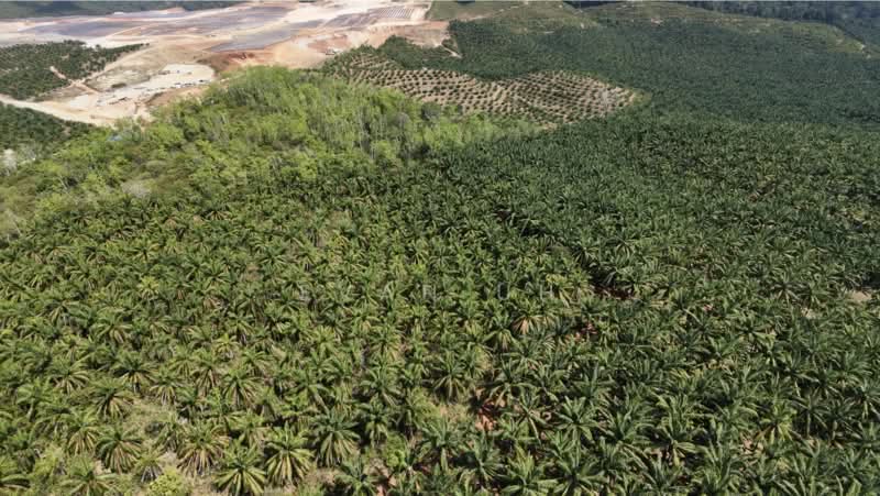 Agricultural Land for Sale in Sungai Petani (Kedah) - Evan Uh - Exterior - PropertyGuru.com.my