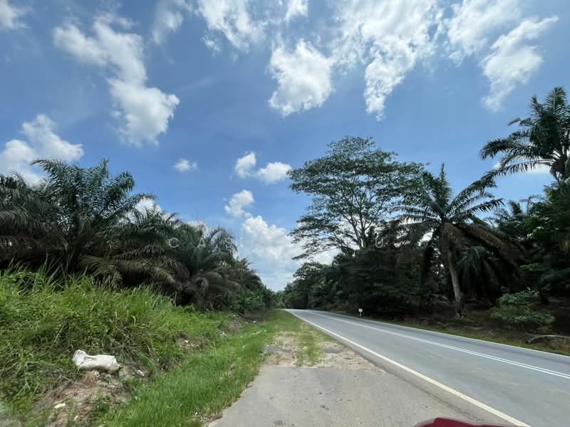 Tanah Pertanian untuk Dijual di Senai (Johor) - Casmin Eu - Exterior - PropertyGuru.com.my