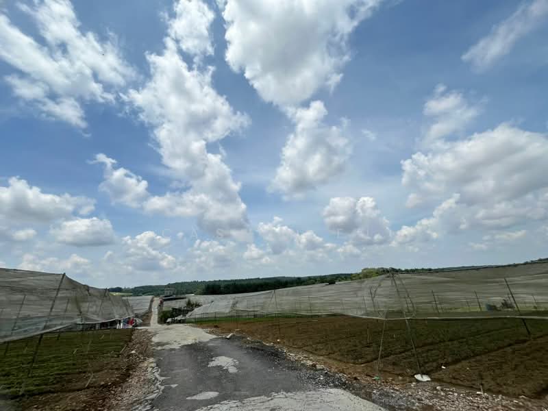 Tanah Pertanian untuk Dijual di Senai (Johor) - Casmin Eu - Exterior - PropertyGuru.com.my