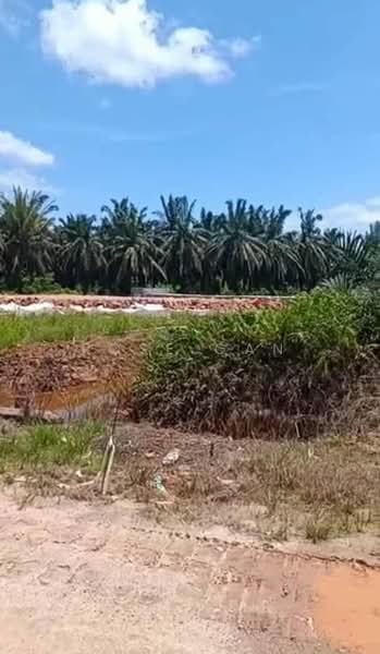 Agricultural Land for Sale in Paloh (Johor) - Rose Gan - Exterior - PropertyGuru.com.my