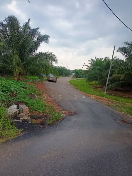 Agricultural Land for Sale in Paloh (Johor) - Rose Gan - Exterior - PropertyGuru.com.my