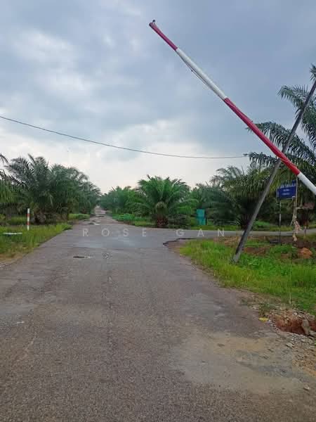 Agricultural Land for Sale in Paloh (Johor) - Rose Gan - Exterior - PropertyGuru.com.my