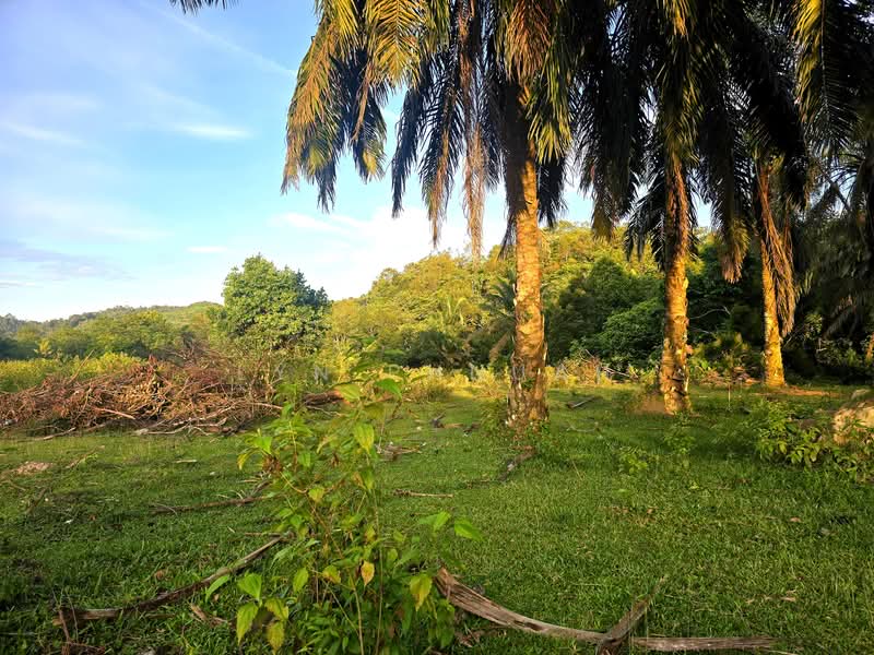 Other Property for Sale in Sungai Ular (Kedah) - Lyn Phnuah - PropertyGuru.com.my