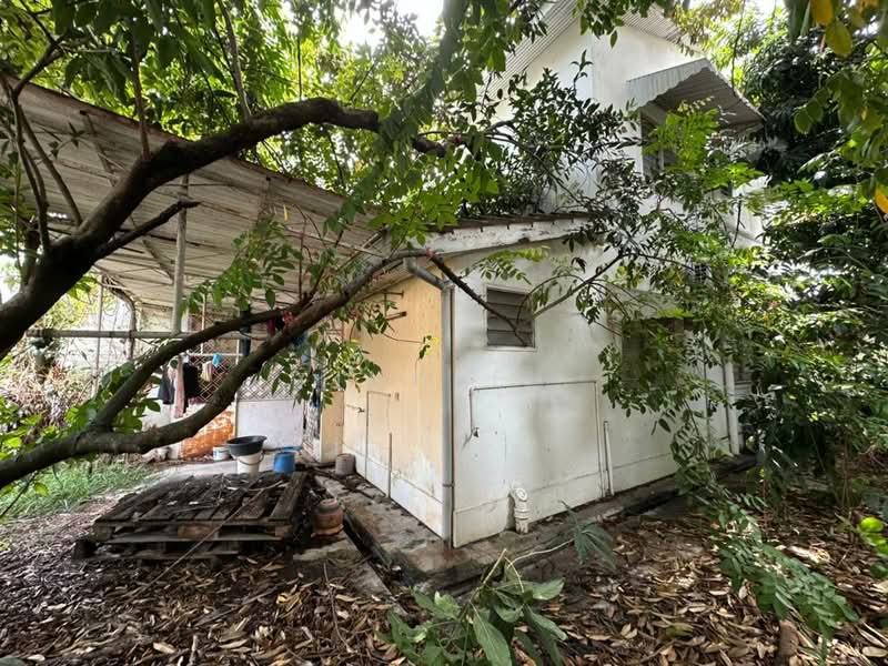 Semi-Detached House for Sale in Island Glades (Jelutong) - Xinnee . - Exterior - PropertyGuru.com.my