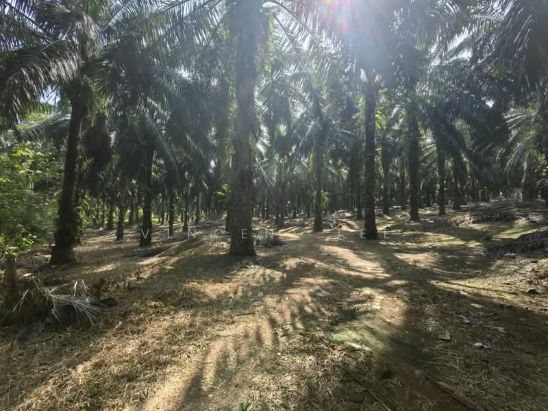 Tanah Pertanian untuk Dijual di Kuala Lipis (Pahang) - Vincent Tee - Exterior - PropertyGuru.com.my